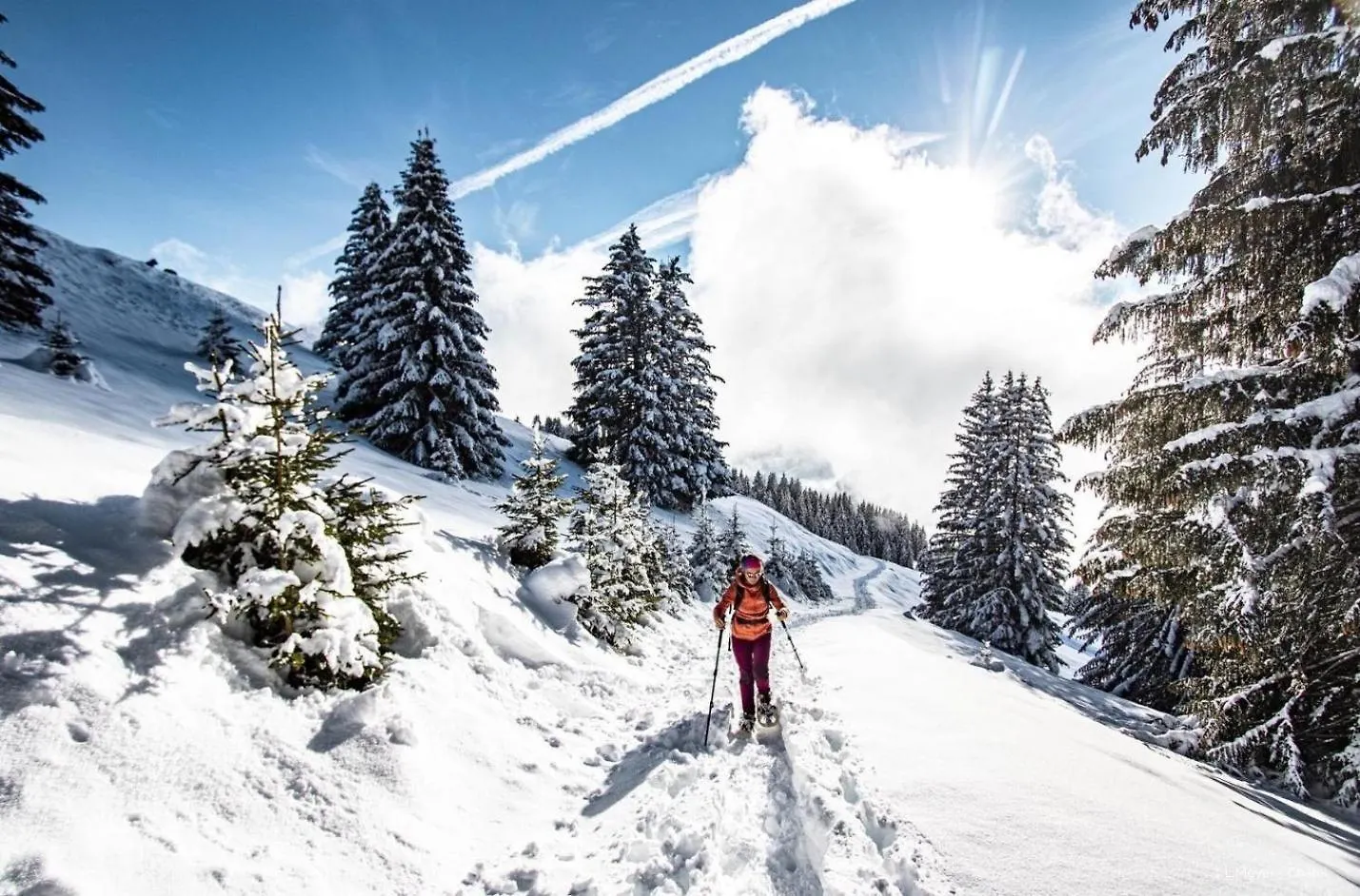 Hameau Des 4 Saisons Hsc116 View & Sun 3 Pers Apartment Chatel 0*,  France